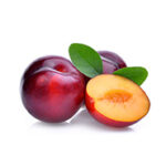 Red Pulm
