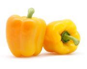 Yellow Pepper