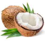 Coconut Bold